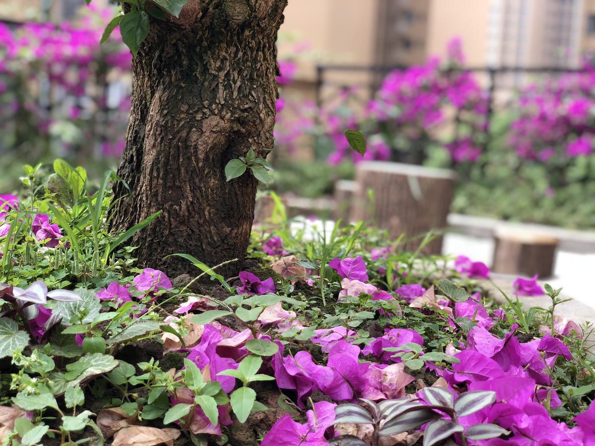 Emei Mountain Xileer Hotel Omejsan Kültér fotó