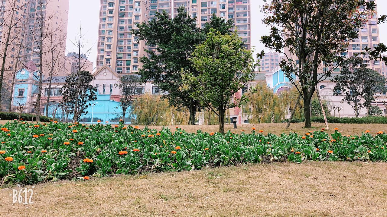 Emei Mountain Xileer Hotel Omejsan Kültér fotó