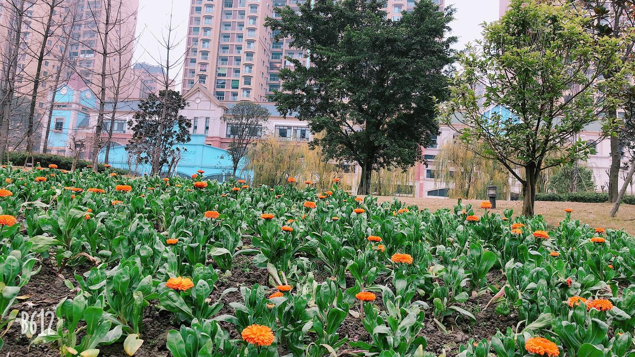 Emei Mountain Xileer Hotel Omejsan Kültér fotó
